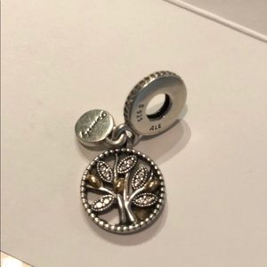 Pandora Family Charm